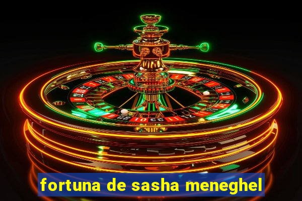 fortuna de sasha meneghel